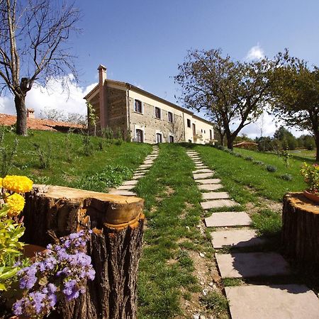 Penzion La Rosa Nel Bicchiere Soveria Mannelli Exteriér fotografie