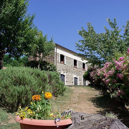 Penzion La Rosa Nel Bicchiere Soveria Mannelli Exteriér fotografie